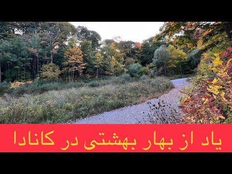 یاد از بهار بهشتی کانادا