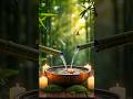 Soothing And Soft Music For Stress Relief Relax Relaxing Meditationmusic Softmusic Calmmusic Shorts mp3