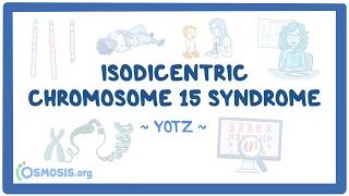 Isodicentric Chromosome 15 Syndrome Year Of The Zebra 2026