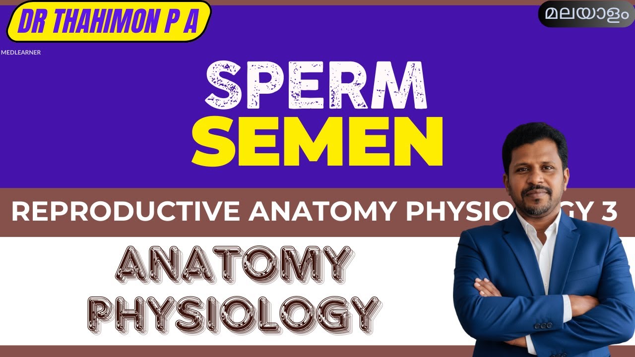 Sperm Morphology Malayalam Semen Composition Malayalam Spermatozoa Reproductive System Malayalam