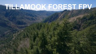 Tillamook Forest - Pacific Northwest FPV