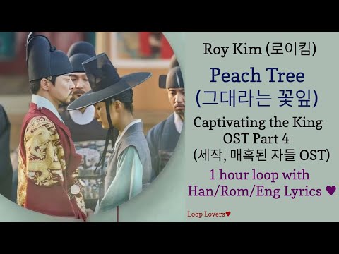Roy Kim 로이킴 Peach Tree 그대라는 꽃잎 1 Hour Loop Han Rom Eng Lyrics 세작 매혹된 자들 OST Captivating The King