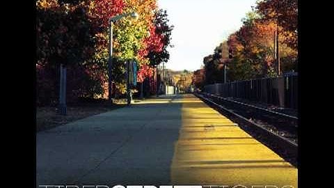 Tiber Street Tigers- Solving The Happy Ending Problem