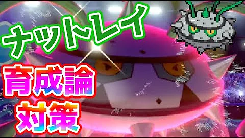 剣盾 ナットレイ 育成論