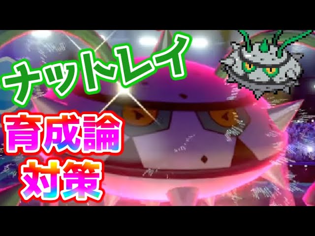 ポケモン剣盾 ナットレイ育成論対策 ポケモン育成論 Youtube