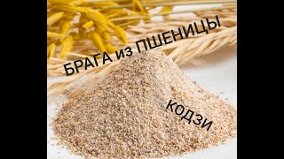 [Самогон] БРАГА из ПШЕНИЦЫ без САХАРА [КОДЗИ]