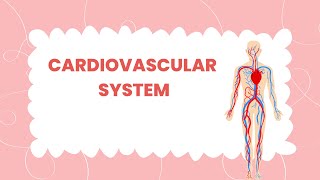 PowerPoint Lecture on the Cardiovascular System