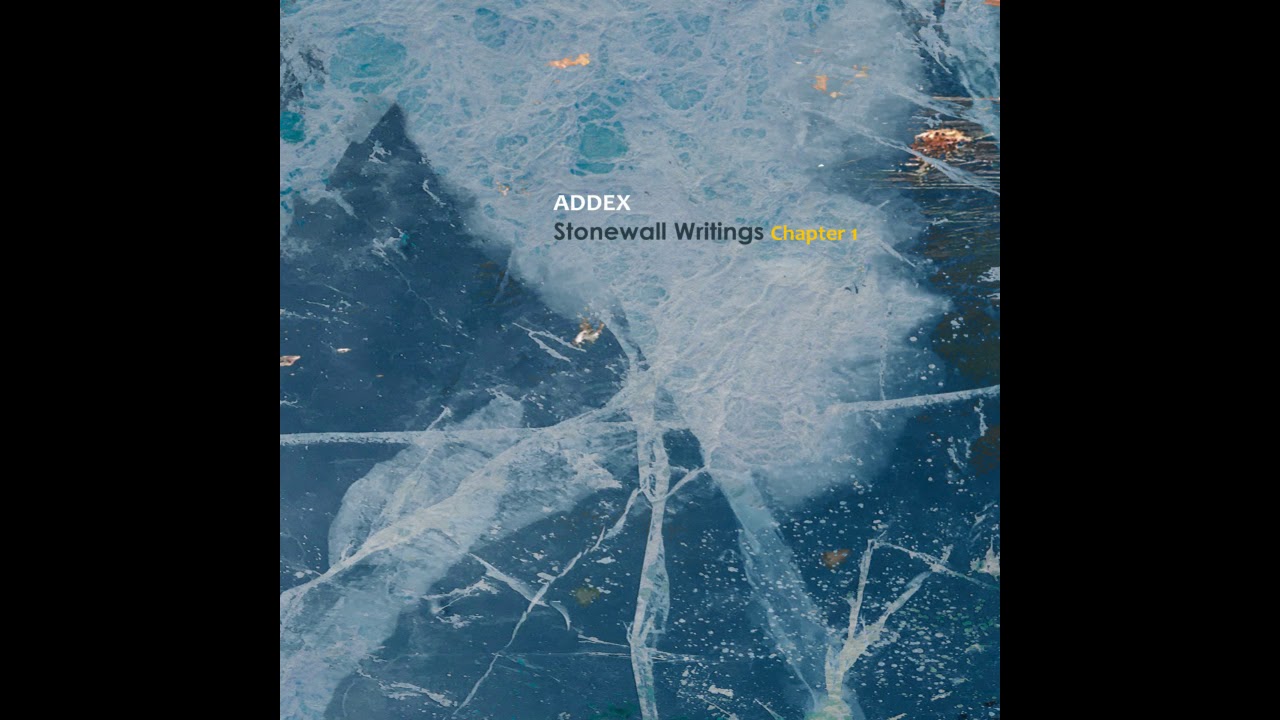 Addex - 2050 Reality Realm (Stonewall Writings Chapter 1)