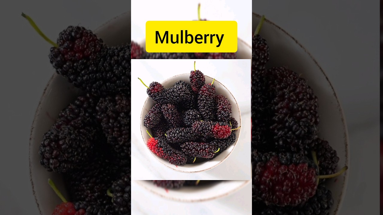 Learn 10 Berries Names in Just 35 Seconds! PART-4 