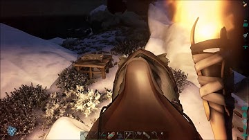 ARK: SURVIVAL EVOLVED // Snow Biome