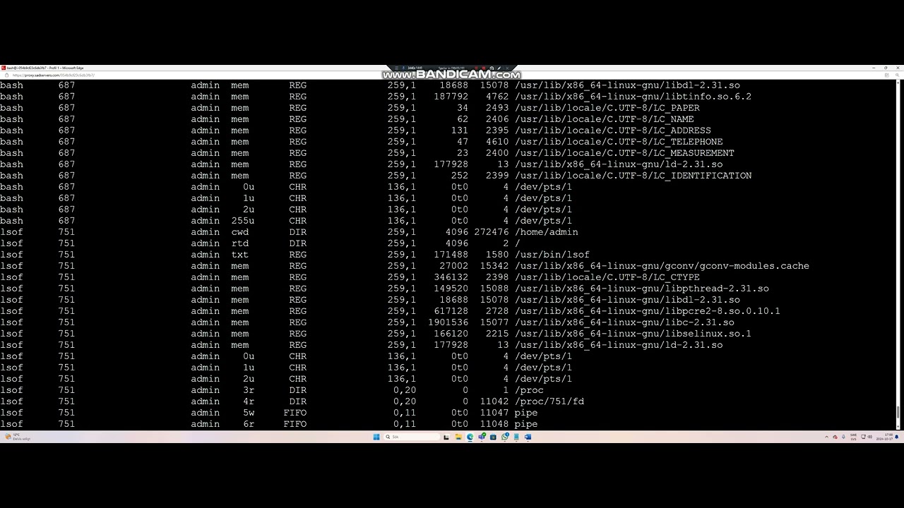 SAD SERVERS DEL 1 "Saint John": what is writing to this log file?