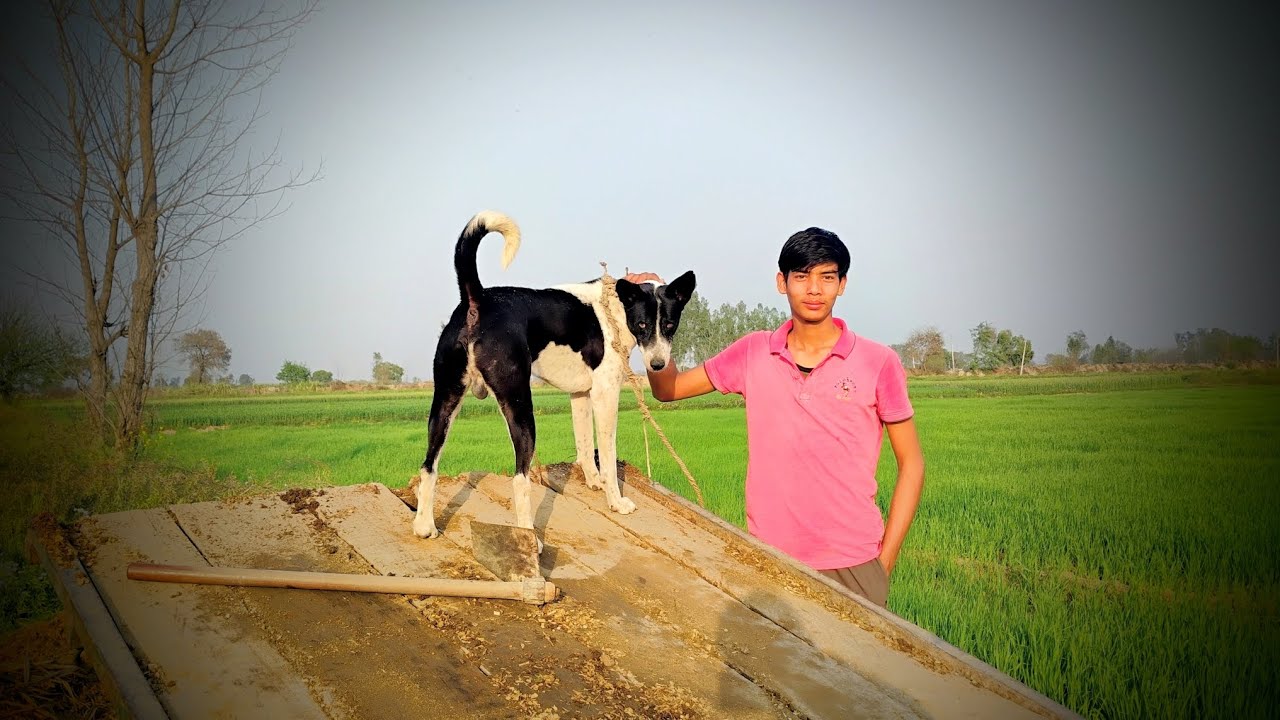 Vishal ko pkda aaj range hath 😂😂