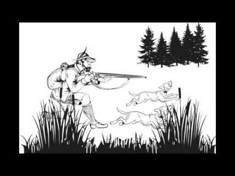 Video CÂU CHUYỆN THỢ SĂN & BẦY CHÓ (Khoa học quản lý) - youtube