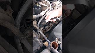 replace serpentine belt