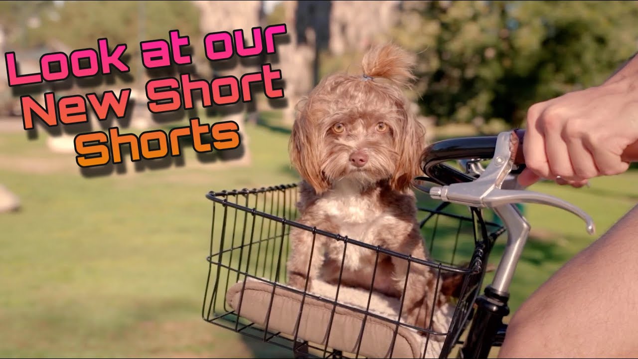 OSMARI | New Mens Short Shorts | Luxury Swimwear and Activewear