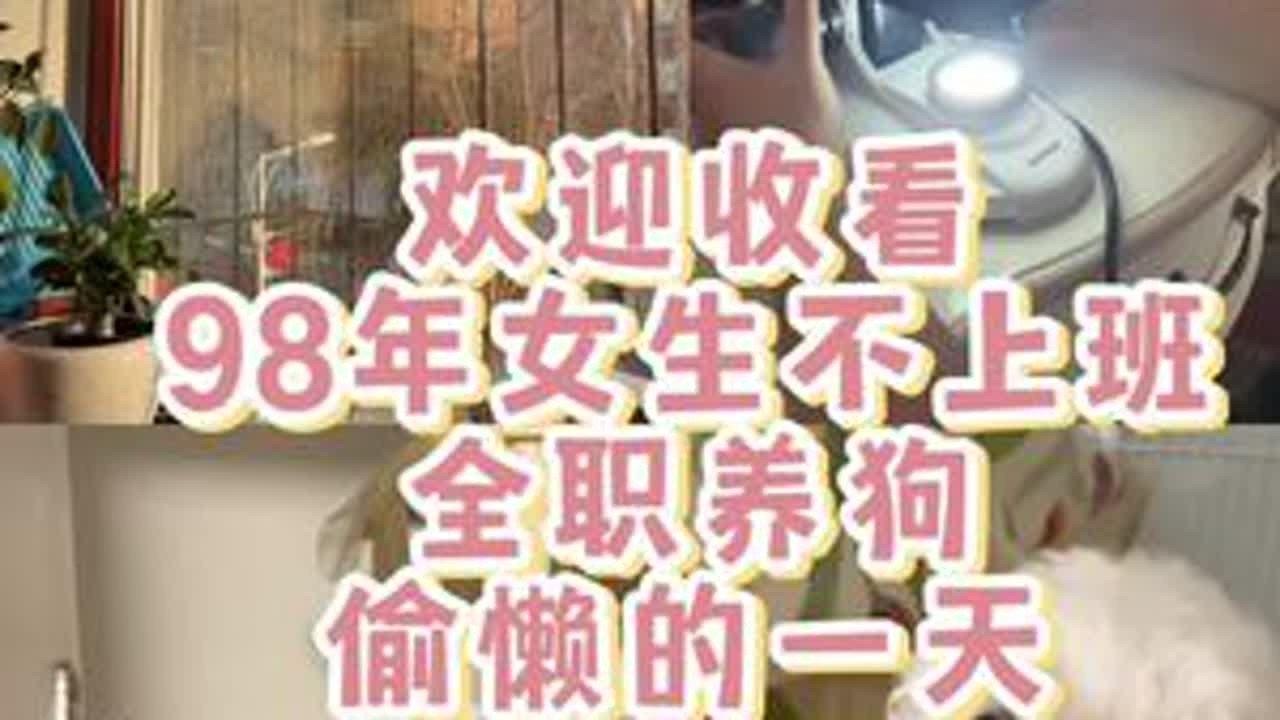 家有比熊崽崽的一天#比熊 #小b熊 #狗狗 #不养狗不知道养狗的乐趣