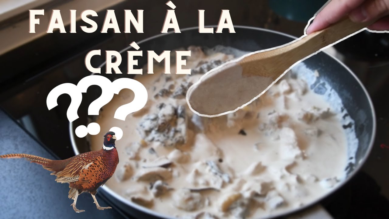 Recette De Gibier : " Du Gibier Dans l'Assiette Ep2 :  Faisan à la crème et aux Champignons"