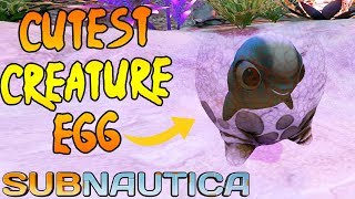 Cutest Creature in Subnautica - Cuddle Fish Subnautica Part  #16