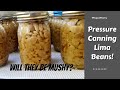 Canuary - Pressure Canning Lima Beans - Are They Mushy?