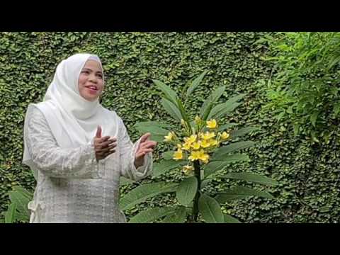 Lagu Lebaran Fenomenal \