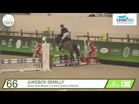 1er parcours d’entrainement pour JUKEBOX  SEMILLY / 1st training for JUKEBOX SEMILLY