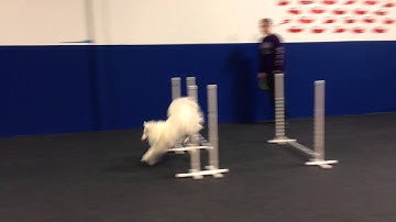 Foundation Jumping 01 - Set Point Exercise