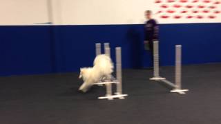 Foundation Jumping 01 - Set Point Exercise