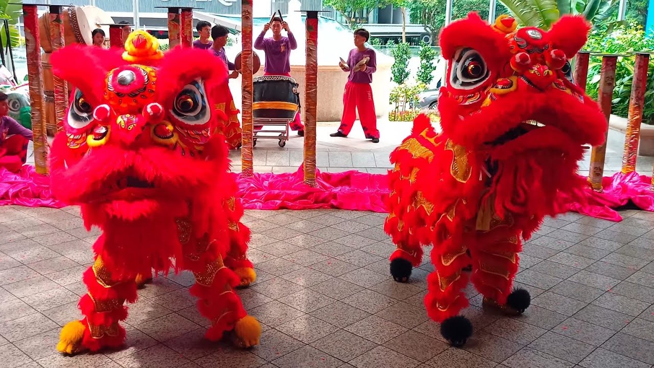 Lion Dance - Unleash the fury. 🦁🔥