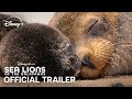 Disneynature's Sea Lions of the Galápagos | Official Trailer