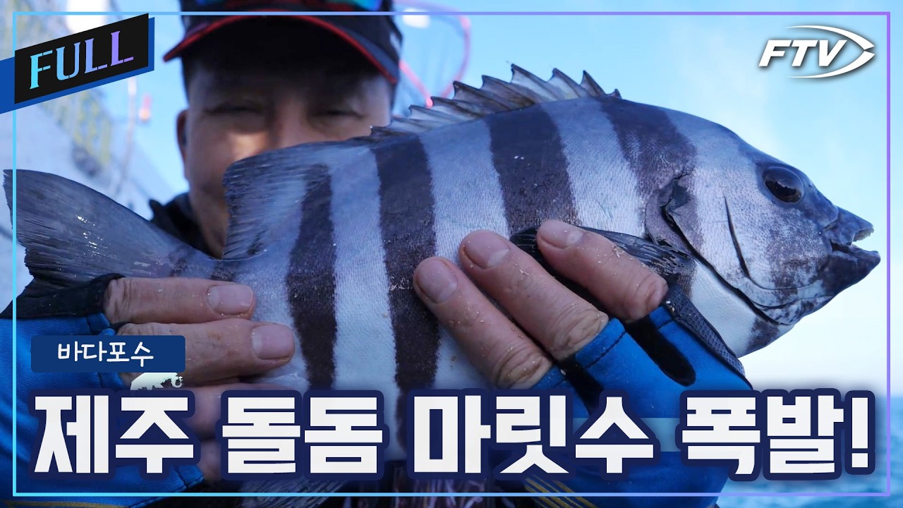 [Full]돌돔이 쏟아지는 제주바다! feat.돌돔 덜덜이 [바다포수/75회]