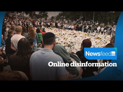 Bondi shooting: Lies, conspiracies and the cost of misinformation