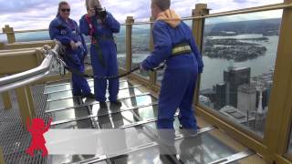 Kids View: The Sydney Tower Eye & SKYWALK (Insider tips from local kids)