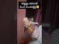 ലെ കുട്ടു 😿എന്നെ ആർക്കും വേണ്ടല്ലോ🙀#cat #catvideos #pets #petanimals