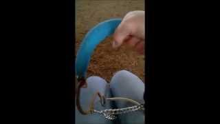 Hackamore mechanics and padding
