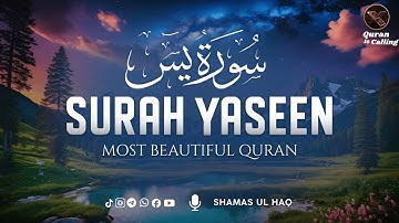 Surah Yaseen (Yasin) سورة يس | Ultimate Relaxing Quran Will Touch Your Heart إن شاء الله