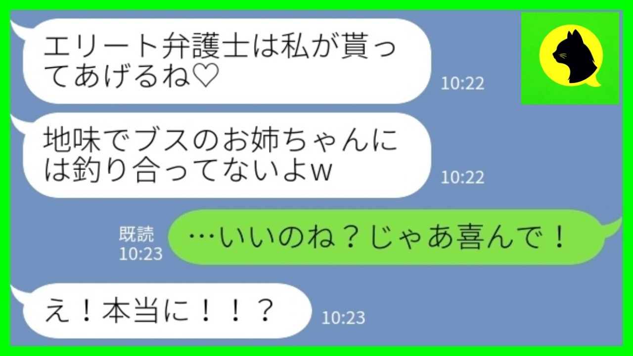 【LINE】弁護士と婚約した私を見下す美人妹「ブスにはもったいないw私が奪うw」→本気を出した婚約者の反撃が痛快すぎたwww【修羅場】