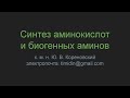 Синтез аминокислот и биогенных аминов