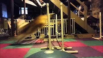 Susan Salo Set Point Exercises