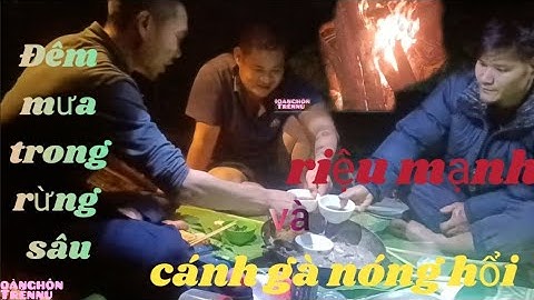  Đêm ở rừng 3 anh em ở trong nơi trú ẩn thưởng thức canh gà nóng và bát rượu cay#sinhton #camping 