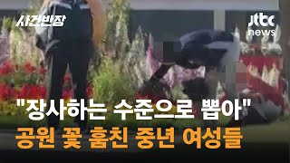 "장사하는 수준으로 뽑아"…공원 꽃 훔친 중년 여성들 / JTBC 사건반장