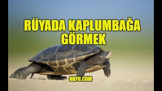 Rüyada Kaplumbağa Görmek, Kaplumbağa Isırması, Yemek, Öldürmek, Konuşmak