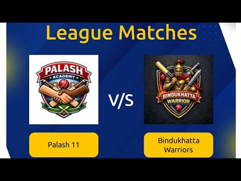 Palash 11 vs Bindukhatta Warriors live cricket match | BSPL live ...