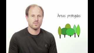 Propuestas Para El Desarrollo Sustentable 100 Políticas Para Potenciar El Desarrollo