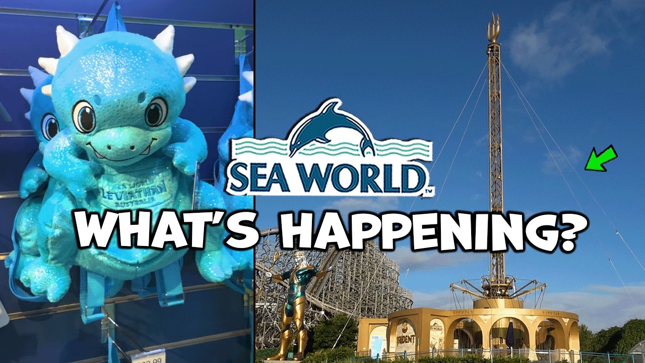 NEW! Sea World Gold Coast Visit & Update | August 2025 | What's New?