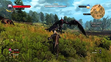 The Witcher 3: Wild Hunt dismount glitch