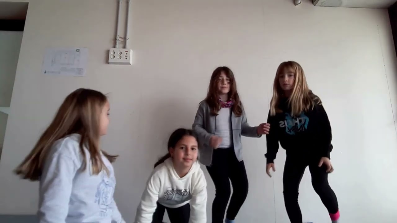 Circ Viral Challenge 3r