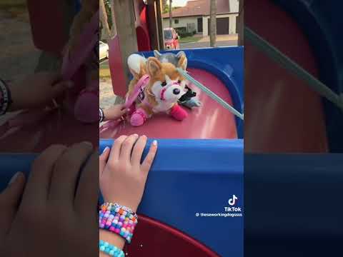 25 mins of Essa TikTok’s for your entertainment |creds to the owners| #essa #tiktok #compilation 