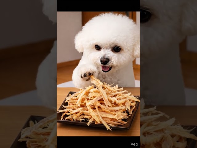 Crunchy Hwangtae ASMR 🐶✨ 황태채モッパンが美味しそうすぎる🐟 #puppy #咀嚼音揚げ物 #cute #pets #eatingsounds #funny #food