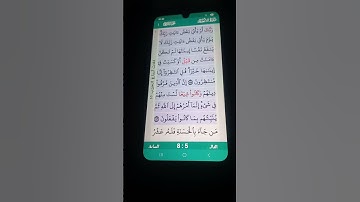 سورة الأنعام الآية 158-159 سعد الغامدي