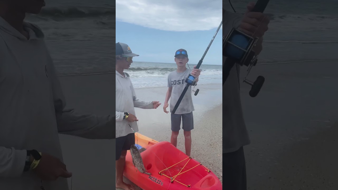 Paddling out shark bait. 